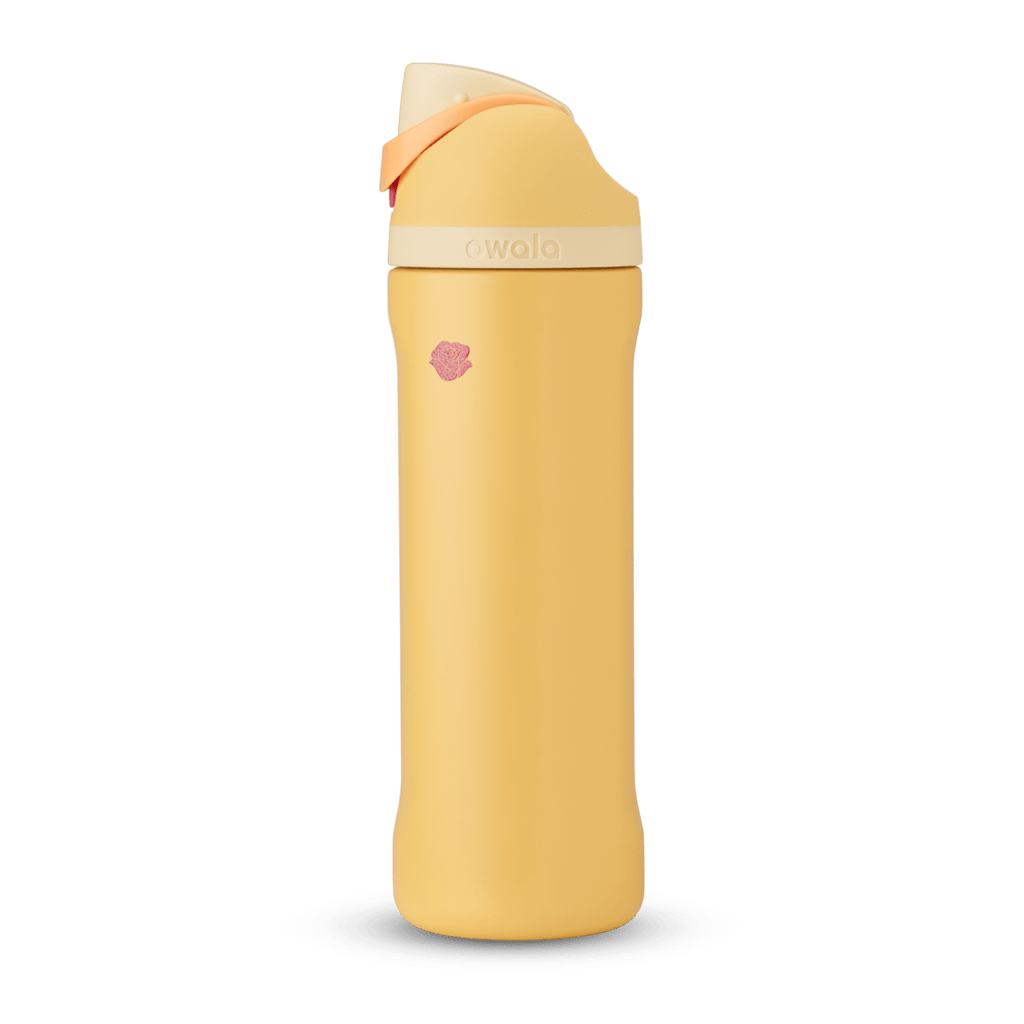 Disney Princess Collection Water Bottle CG6FG1