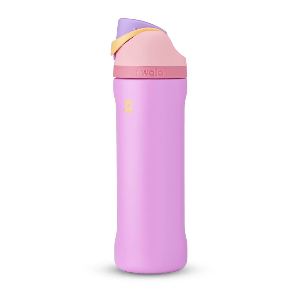 Disney Princess Collection Water Bottle CG6FG1