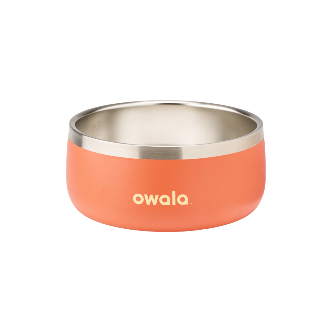 Pet Bowl Water Bottle UKH9BDHY