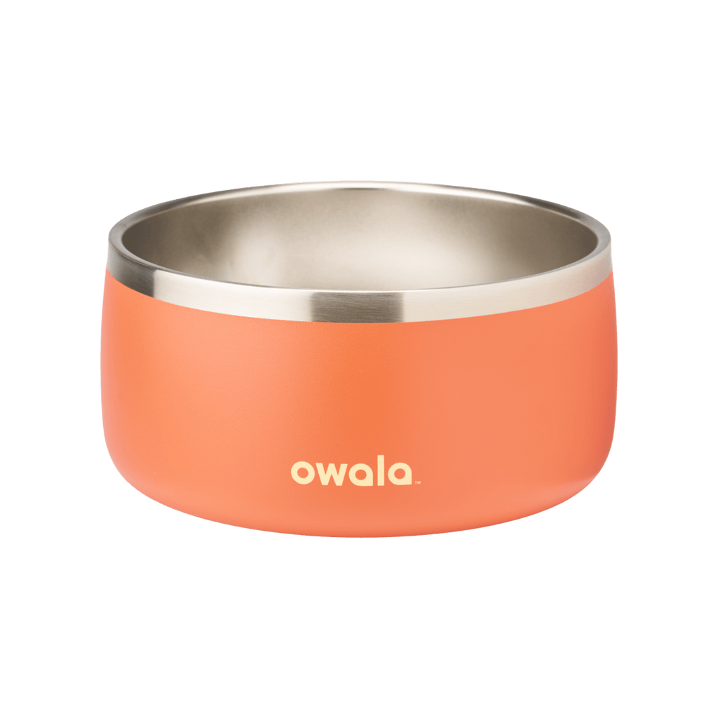 Pet Bowl Water Bottle UKH9BDHY