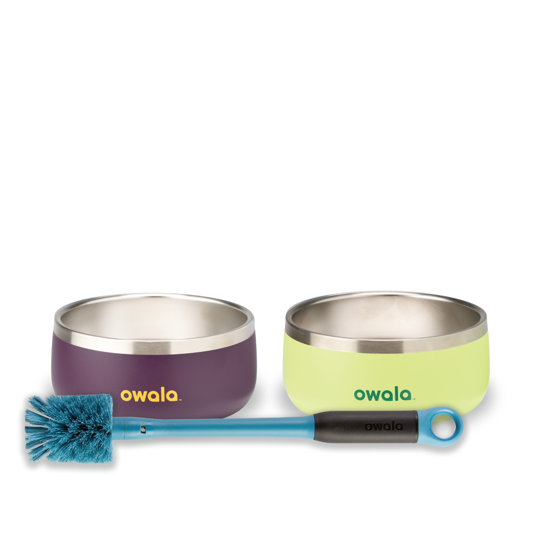 Pet Bowl Bundle Water Bottle M37SVW7DK