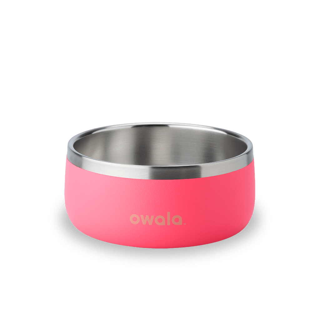 Pet Bowl Water Bottle UKH9BDHY