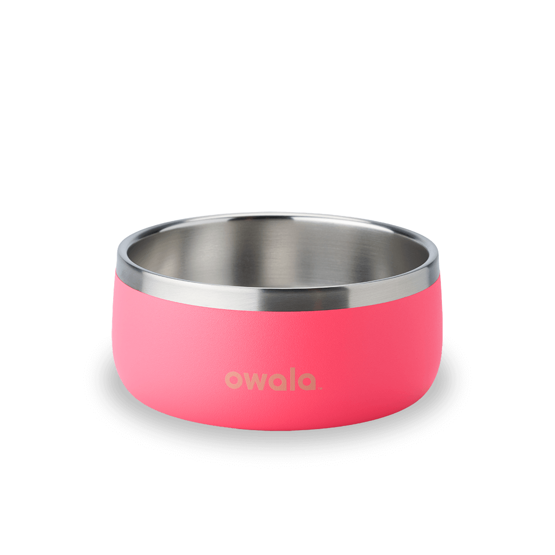 Pet Bowl Water Bottle UKH9BDHY