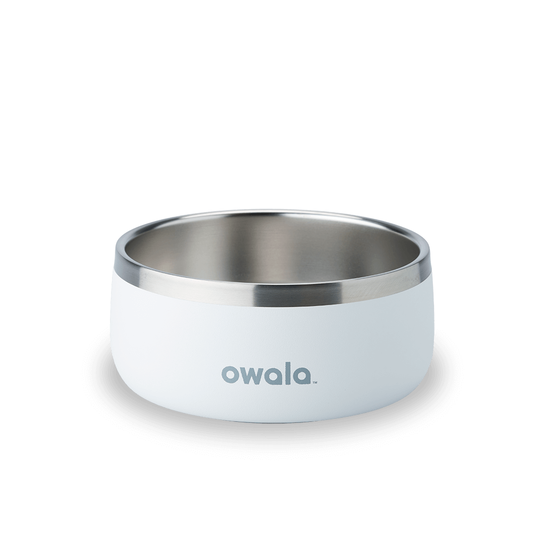 Pet Bowl Water Bottle UKH9BDHY
