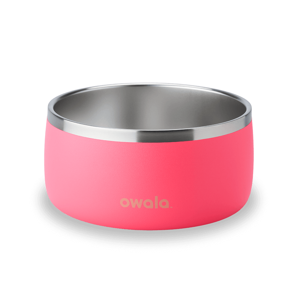 Pet Bowl Water Bottle UKH9BDHY