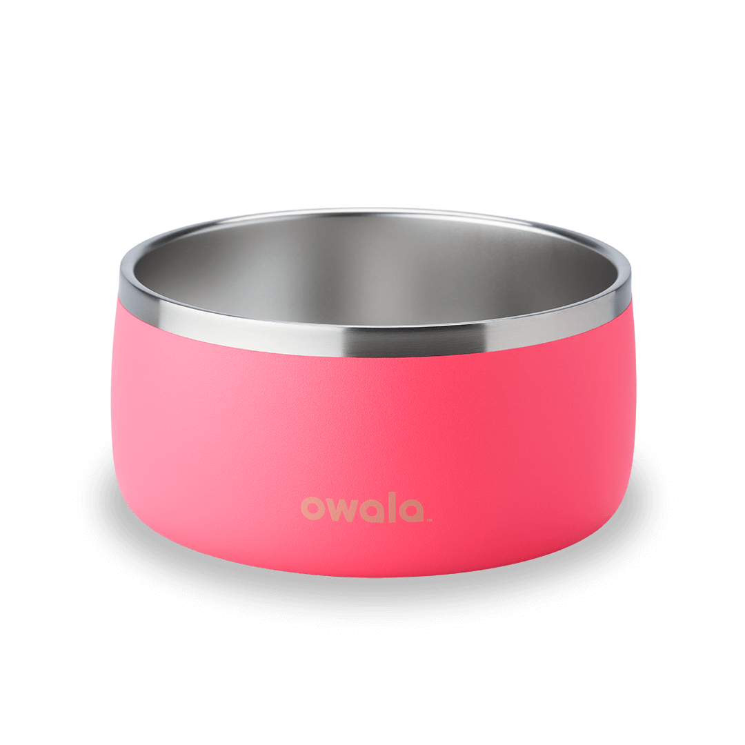 Pet Bowl Water Bottle UKH9BDHY